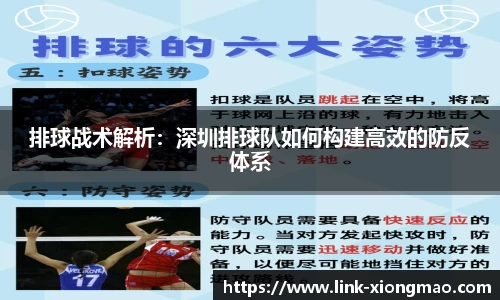 排球战术解析：深圳排球队如何构建高效的防反体系