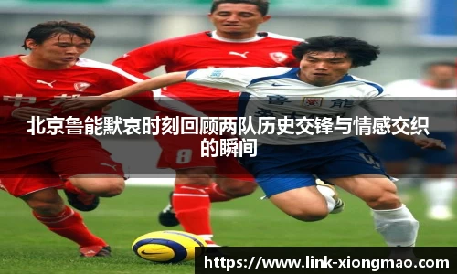 熊猫体育注册登录